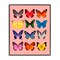 Stupell Industries Butterfly Species on Pink Framed Giclee, design by LISH Creative